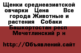 Щенки среднеазиатской овчарки › Цена ­ 1 - Все города Животные и растения » Собаки   . Башкортостан респ.,Мечетлинский р-н